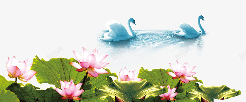 湖畔荷花png免抠素材_88icon https://88icon.com 夏季花卉 夏日 天鹅戏水 荷塘 荷花