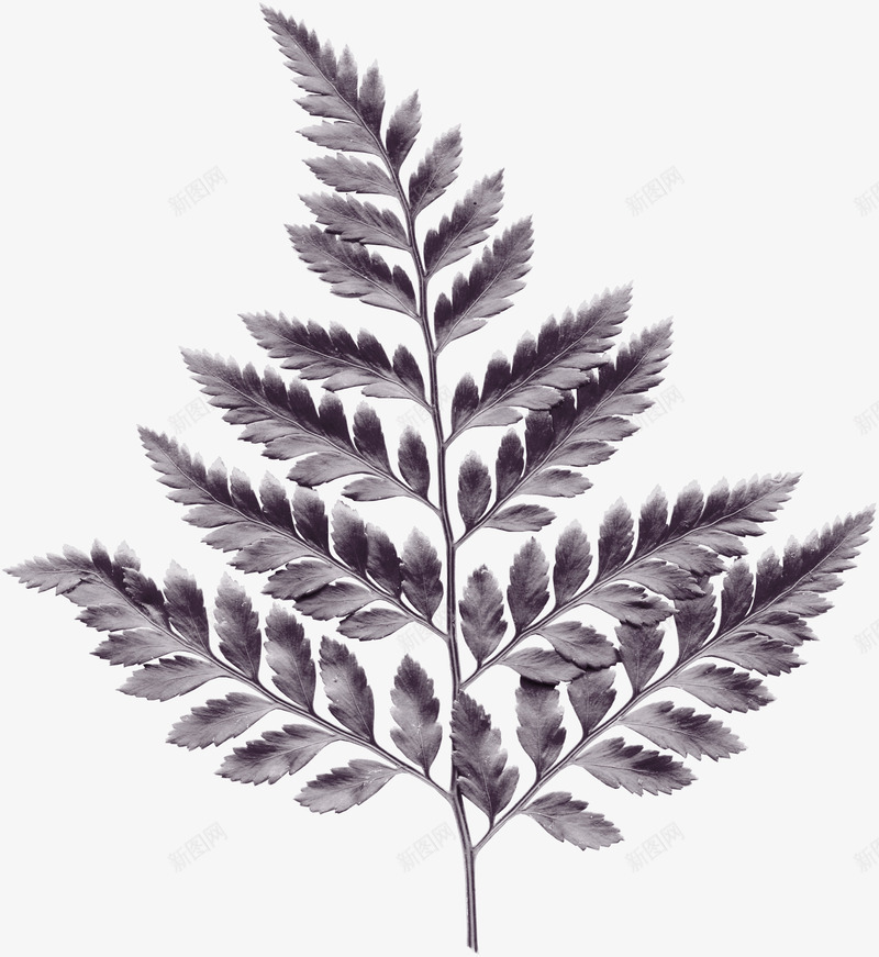 英伦风图案英伦风素描png免抠素材_88icon https://88icon.com 手绘欧美 手绘欧美图片 欧美素材 英伦风图案 英伦风素材