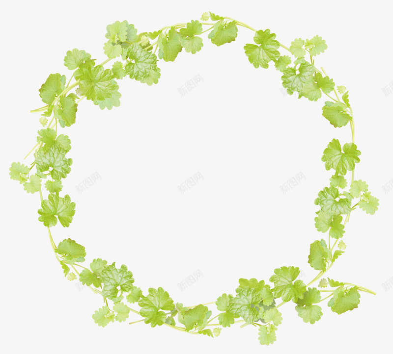 花环png免抠素材_88icon https://88icon.com 花卉 花圈 花环 花藤 藤蔓