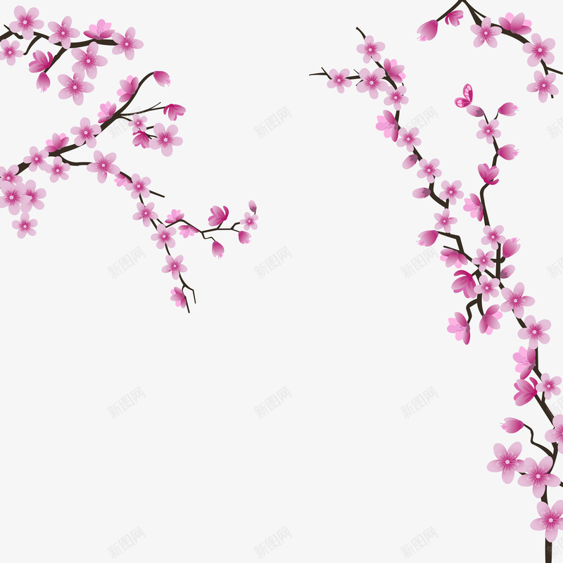 樱花png免抠素材_88icon https://88icon.com 樱花 背景装饰 花卉 花朵 花边