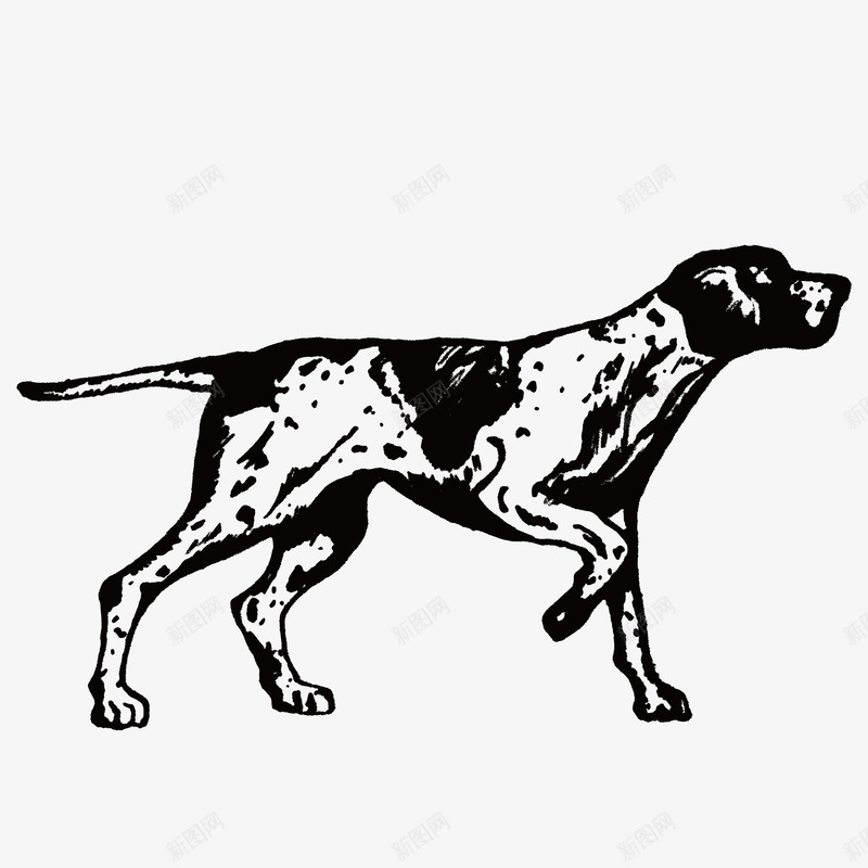 黑色斑点狗矢量图ai免抠素材_88icon https://88icon.com 手绘 斑点狗 简洁 线条 黑色 矢量图