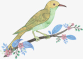 涂鸦手绘树枝燕子png免抠素材_88icon https://88icon.com 树枝 涂鸦 燕子