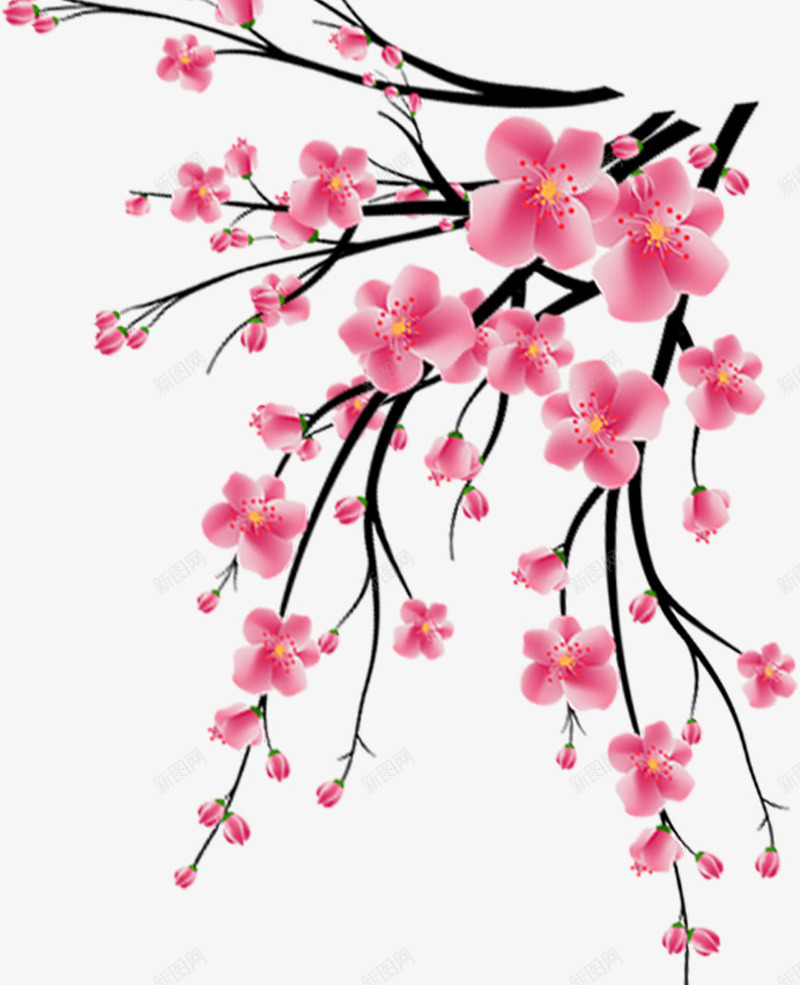 中国风粉色鲜花梅花psd免抠素材_88icon https://88icon.com 中国风 中国风粉色鲜花梅花 梅花 粉色 花朵 鲜花
