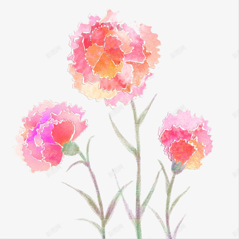 粉色康乃馨手绘插画png免抠素材_88icon https://88icon.com 园艺 康乃馨 母亲节 礼物 粉色康乃馨手绘插画 花 鲜花