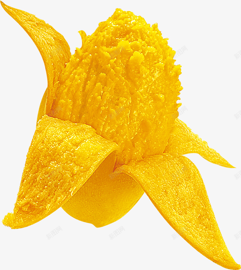 芒果png免抠素材_88icon https://88icon.com 健康 农业 扣好的水果 水果 瓜果 绿色 蔬菜