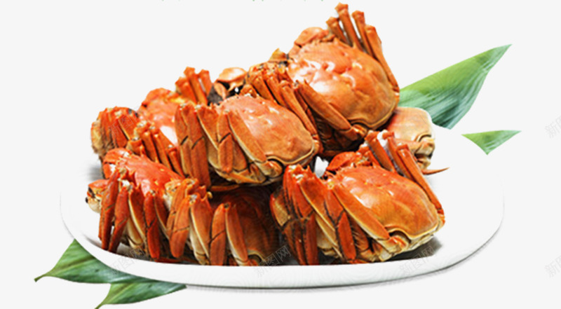 兴化大闸蟹png免抠素材_88icon https://88icon.com 产品实物 健康饮食 海鲜 秋季 菜肴