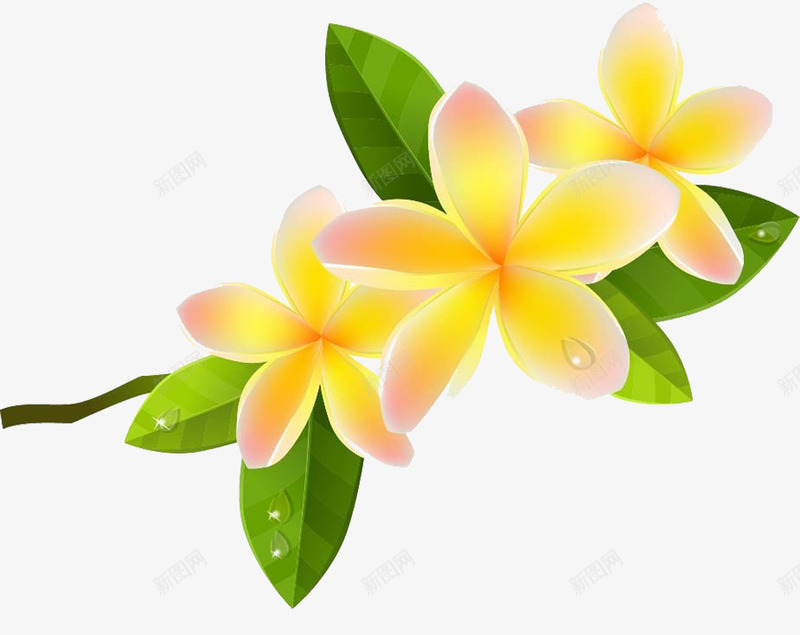 卡通鸡蛋花png免抠素材_88icon https://88icon.com 卡通 花儿 花朵 鲜花 鸡蛋花