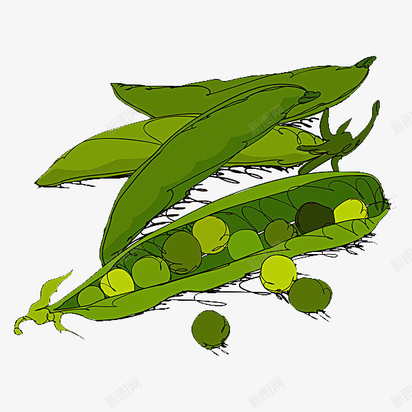 手绘豌豆png免抠素材_88icon https://88icon.com 健康 冰鲜购物 商场 大自然 市场 新鲜 有机蔬菜 环保 营养 蔬果饮品饮料 蔬菜 豌豆 豌豆角 超市