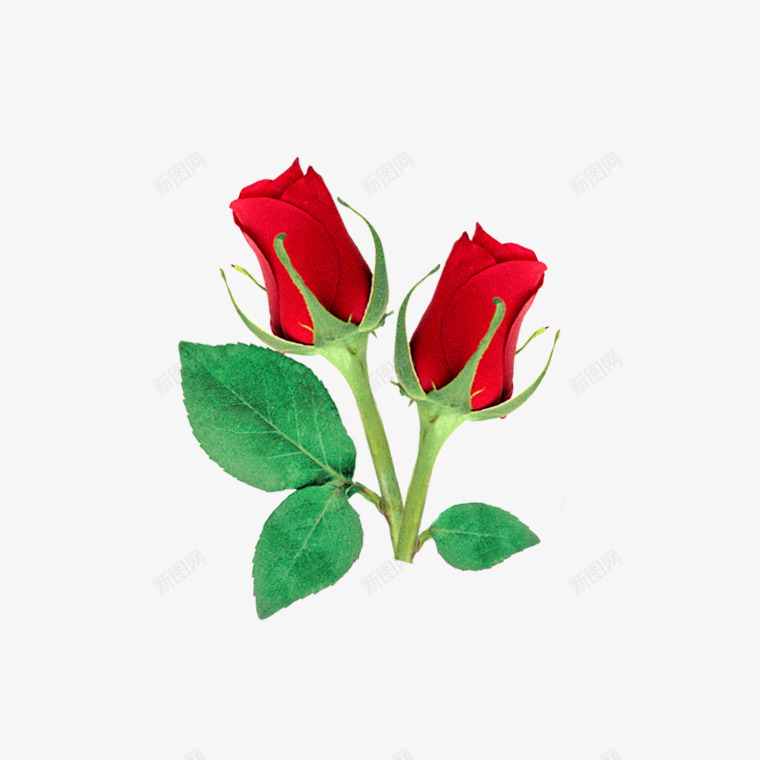七夕节红色玫瑰花psd免抠素材_88icon https://88icon.com 七夕节 玫瑰花 红色玫瑰 红色鲜花 花束 鲜花PNG免扣