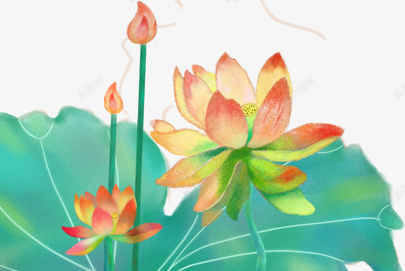 彩绘荷花装饰插画psd免抠素材_88icon https://88icon.com 中国风 夏天 彩绘 手绘插画 荷叶 荷花 莲花 装饰图案