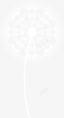 白色卡通蒲公英png图片下载 白色卡通蒲公英素材