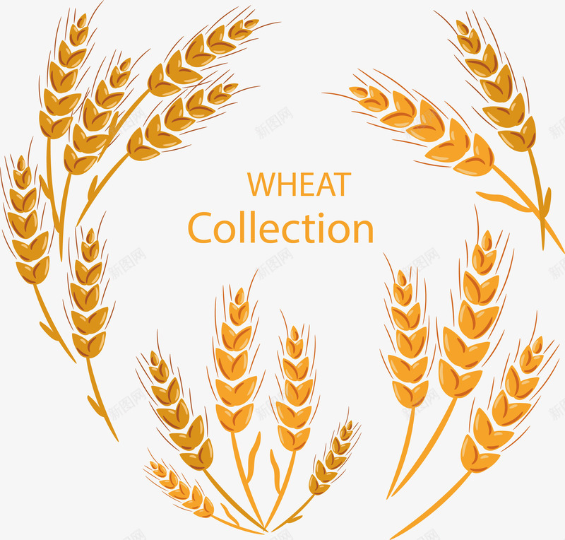 金色丰收小麦边框矢量图ai免抠素材_88icon https://88icon.com 丰收小麦 小麦 小麦标题框 小麦边框 矢量png 金色小麦 矢量图