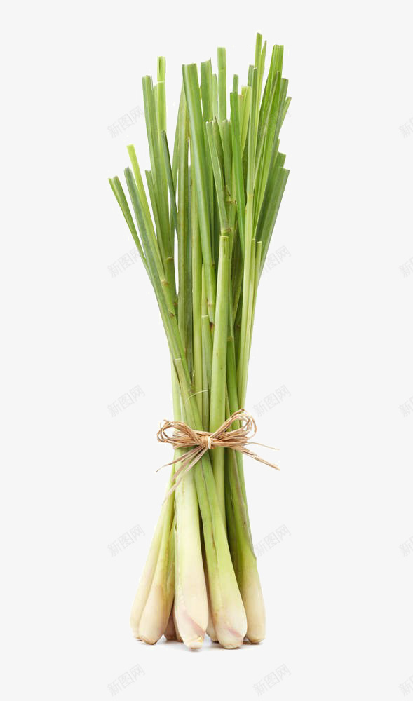 柠檬草png免抠素材_88icon https://88icon.com 健康 柠檬草 自然 调味品 辛辣 食物