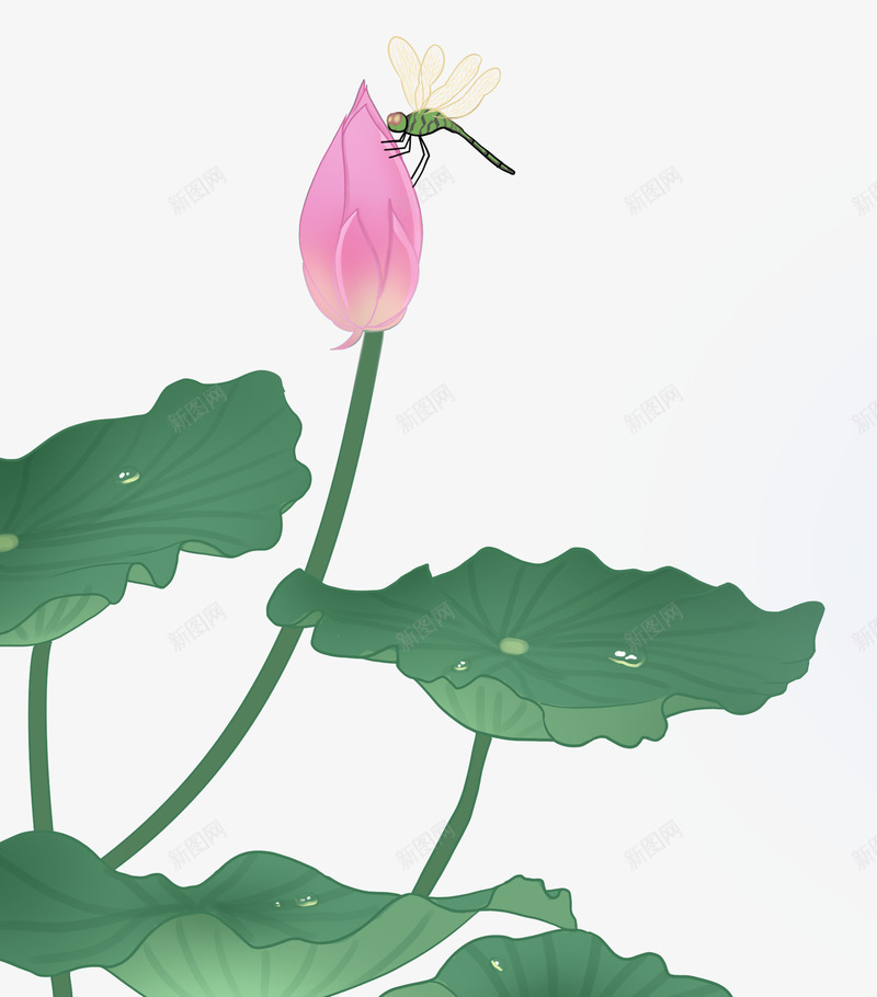 手绘夏日清新淡雅插画蜻蜓荷花png免抠素材_88icon https://88icon.com 夏日 手绘 淡雅插画 清新 荷叶 荷花 蜻蜓