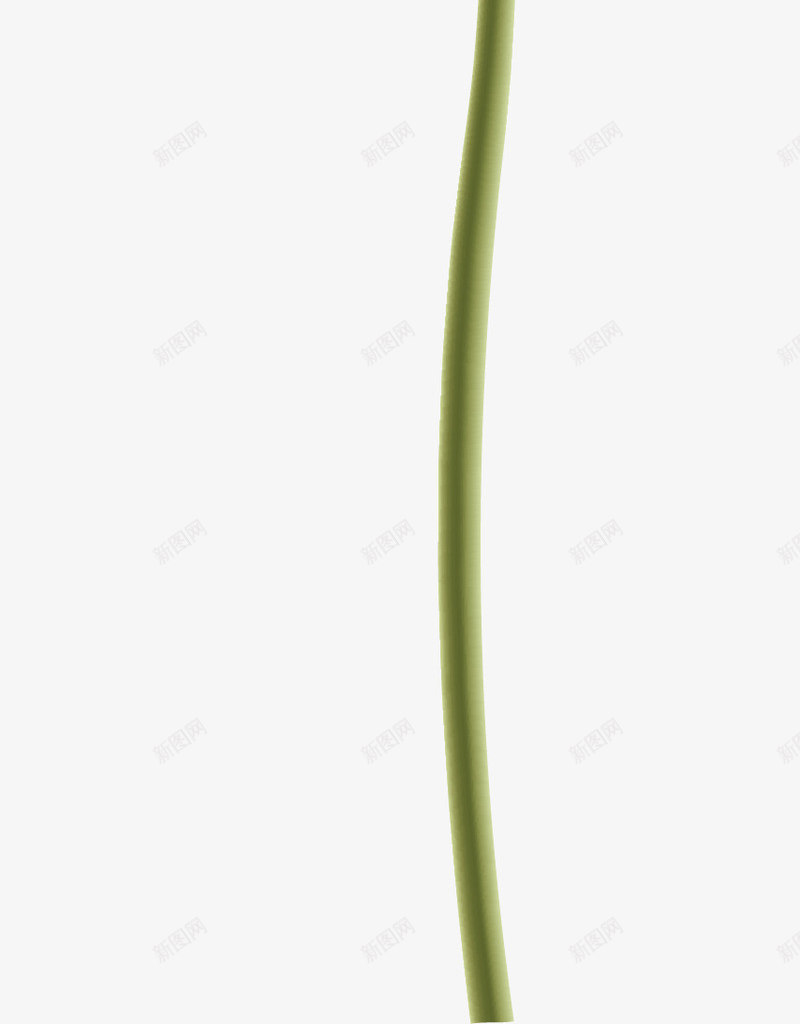水彩画鲜花矢量图ai免抠素材_88icon https://88icon.com 水彩画 花瓣 花蕾 鲜花 矢量图