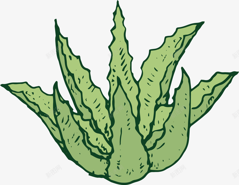 水彩绿色芦荟矢量图ai免抠素材_88icon https://88icon.com 健康 卡通 手绘 植物 水彩 绿色 芦荟 矢量图