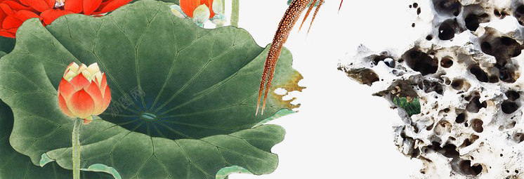 鲤鱼戏水png免抠素材_88icon https://88icon.com 桃花 红色 荷花 锦鲤