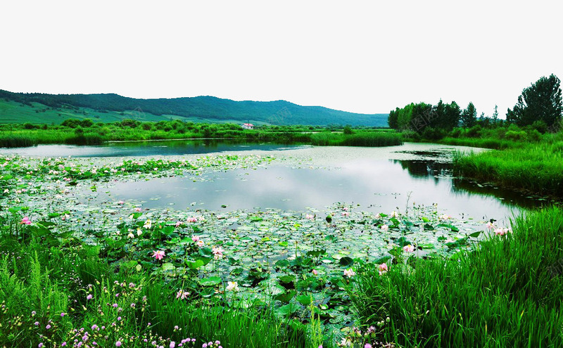 唯美镜泊湖景色png免抠素材_88icon https://88icon.com 名胜古迹 唯美 地方景点 实物图 摄影图 景色 草地 荷花 镜泊湖