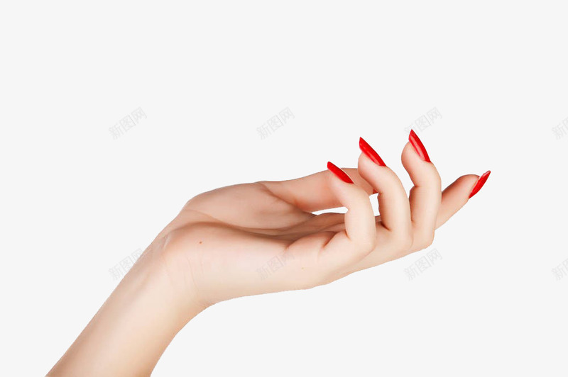 手部png免抠素材_88icon https://88icon.com 手 手部 护理 护肤 美体 美肤
