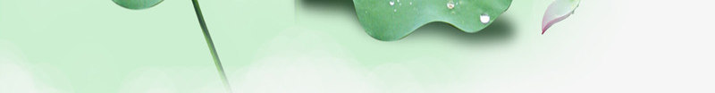 端午节png免抠素材_88icon https://88icon.com 端午节 竹子 粽子 荷叶 荷花