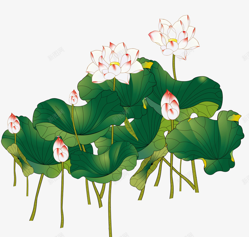 夏天手绘绿色中国风荷叶荷花psd免抠素材_88icon https://88icon.com 中国风 叶子 夏天 夏天手绘绿色中国风荷叶荷花 手绘 竹子荷花荷叶满池塘 绿色 荷叶 荷花