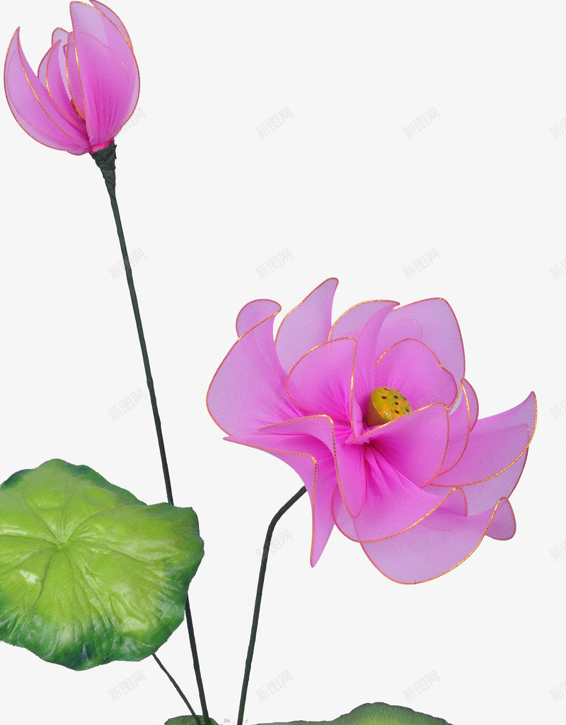 荷花png免抠素材_88icon https://88icon.com 丝网花 荷花