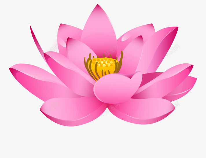 荷花专题矢量图eps免抠素材_88icon https://88icon.com 粉色盛开荷花 荷花花卉花瓣倒影莲花 矢量图