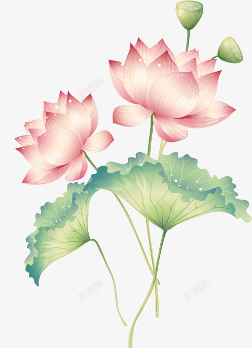 唯美淡雅荷花装饰矢量图eps免抠素材_88icon https://88icon.com 唯美淡雅荷花装饰 彩墨莲花 清雅 粉红荷花 荷叶 莲花 莲蓬 矢量图