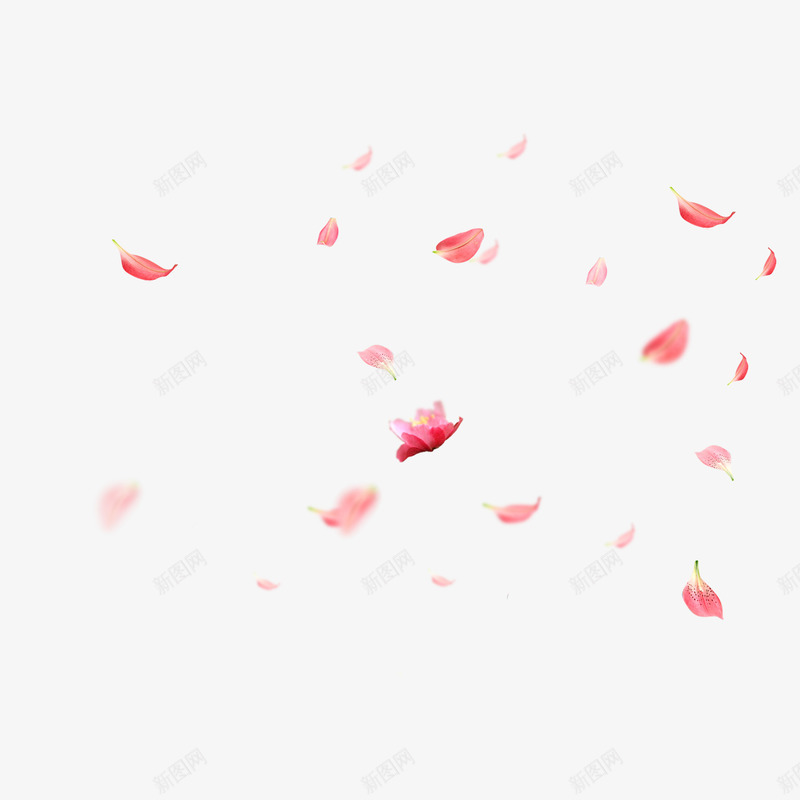 飘浮花瓣png免抠素材_88icon https://88icon.com Webdesign 七夕节 唯美 完结撒花 平面设计 情人节 情人节飘浮素材 桃红 桃花 模糊 洒落花瓣 浪漫 浪漫设计元素 海报Banner 爱情 粉红 粉色 网页设计 花 花瓣 花瓣掉落 花瓣遍地 花瓣飘飘 装饰图案 设计素材 飘浮
