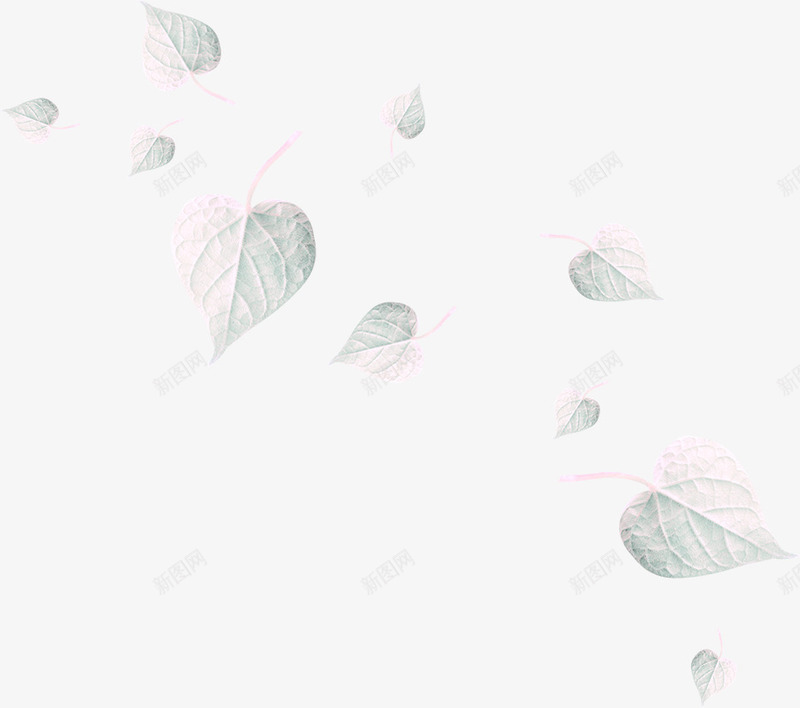 白树叶png免抠素材_88icon https://88icon.com 叶片 枯叶 萎叶 落叶