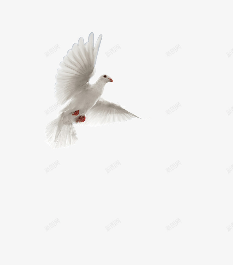 飞向天空的白鸽png免抠素材_88icon https://88icon.com 天空 白鸽