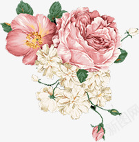 唯美花卉护肤品png免抠素材_88icon https://88icon.com 护肤品 素材 花卉