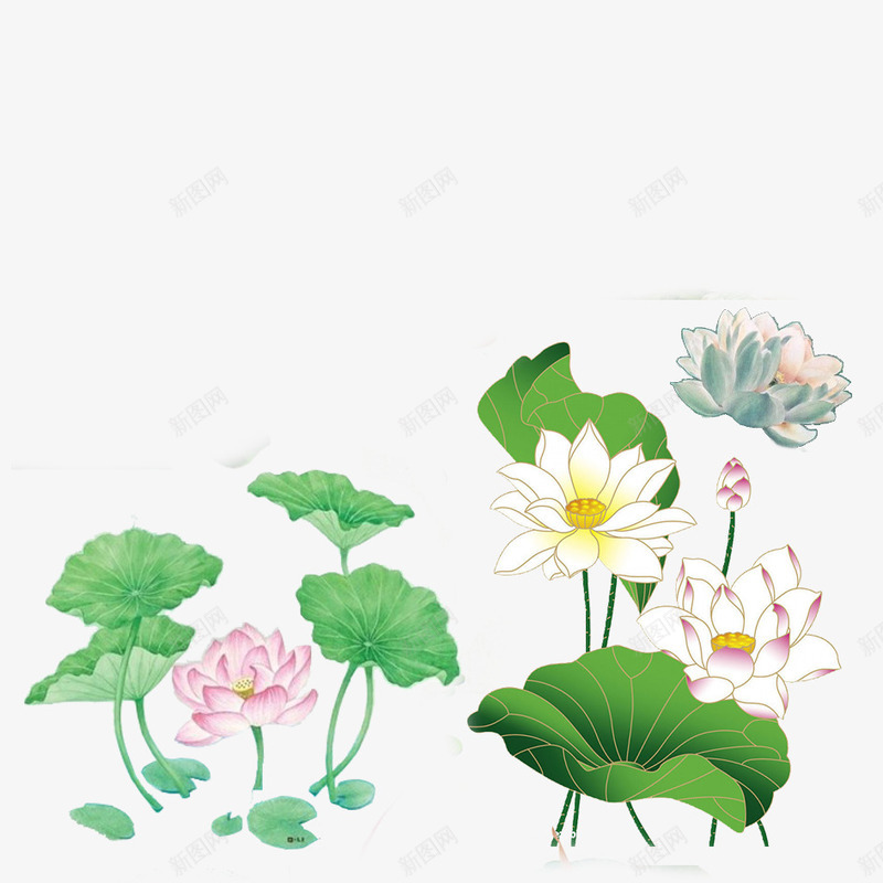唯美荷花png免抠素材_88icon https://88icon.com 唯美 绿叶 花朵 花骨朵 荷花 荷花叶 露水 鲜花