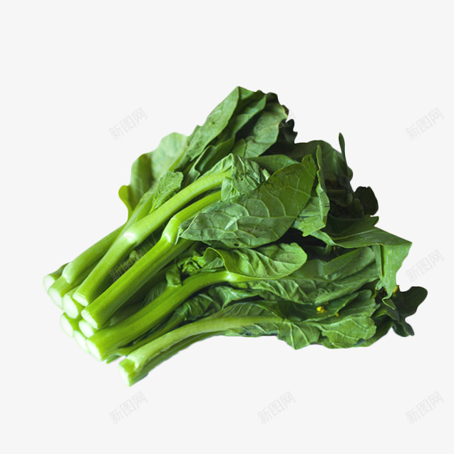 一把新鲜的广东菜心蔬菜实物摄影png免抠素材_88icon https://88icon.com 一把新鲜的广东菜心蔬菜实物摄影免抠免费下载 健康 安全 广东菜心 新鲜 绿色 菜心 菜苔 蔬菜 青菜