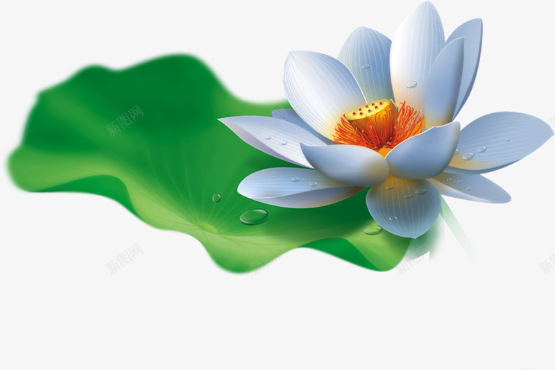 中国风荷花广告png免抠素材_88icon https://88icon.com 国风 广告 素材 荷花