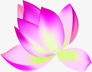 紫色手绘梦幻荷花png免抠素材_88icon https://88icon.com 梦幻 紫色 荷花