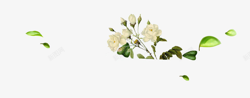 清新春天护肤树叶花psd免抠素材_88icon https://88icon.com 叶 护肤 春天 树 清新 花