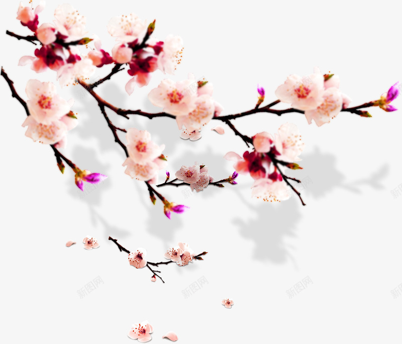 梅花毛笔艺术手绘png免抠素材_88icon https://88icon.com 梅花 毛笔 艺术