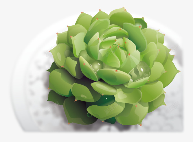 逼真的绿色植物矢量图ai免抠素材_88icon https://88icon.com 多肉植物 水珠 立体感 绿叶 绿色植物 质感 逼真 矢量图