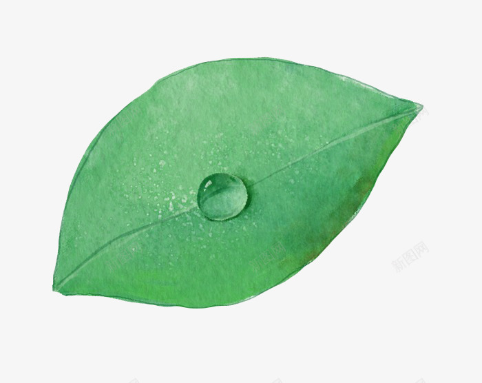 叶子上的露水png免抠素材_88icon https://88icon.com 叶子 手绘 树叶 水珠 清新 绿叶 露水