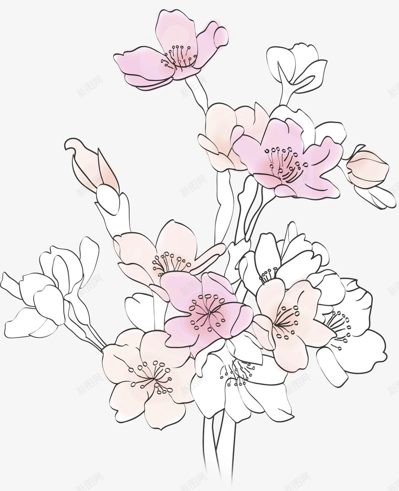 简约花卉png免抠素材_88icon https://88icon.com 水彩国画粉色系 线条