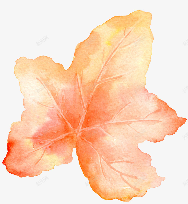 手绘红色植物叶子png免抠素材_88icon https://88icon.com 叶子 广告设计 手绘清新文艺 海报设计 清新装饰 红叶 绿叶装饰插画
