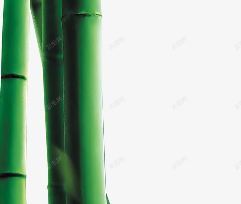 绿色水珠竹子端午png免抠素材_88icon https://88icon.com 水珠 端午 竹子 绿色