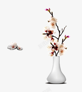 花瓶梅花psd免抠素材_88icon https://88icon.com 梅花 白色 花瓶