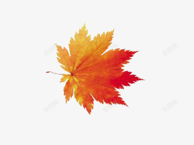 唯美落叶png免抠素材_88icon https://88icon.com 叶子矢量ps 叶子矢量ps素材 唯美 树叶免扣 树叶免扣素材 绿色 落叶 飞叶 飞叶png 飞叶png素材 飞叶免扣图片 飞叶免扣图片素材 黄色