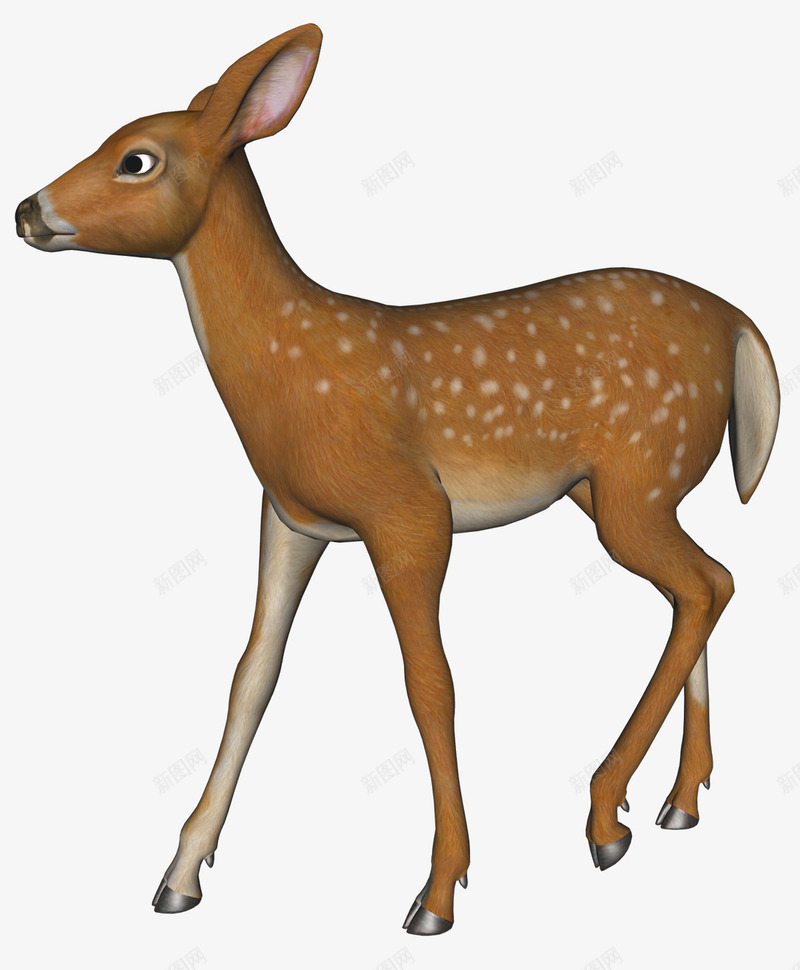 漂亮的小鹿png免抠素材_88icon https://88icon.com 3D 小鹿 梅花鹿 鹿