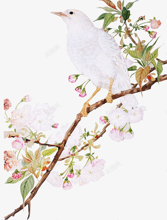 鸟立枝头psd免抠素材_88icon https://88icon.com 国画 树枝 梅花 鸟