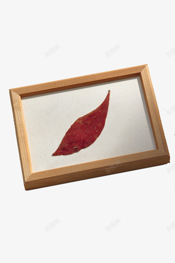黄色实木相框落叶png免抠素材_88icon https://88icon.com 产品实物 实木 相框 落叶 黄色