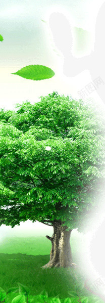 树木落叶png免抠素材_88icon https://88icon.com 树木 植物 落叶