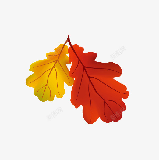 秋天落叶png免抠素材_88icon https://88icon.com 枫叶 树叶 秋天落叶
